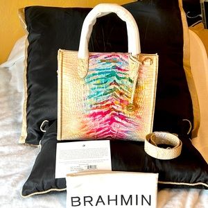 NWT Brahmin Caroline Entice Ombré Melbourne